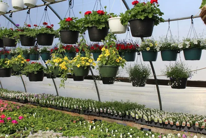 ClearView Surplus Store in Munfordville, KY